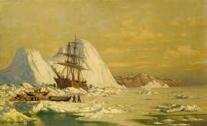 An Arctic Scene